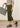 Dusk olive cotton capri, styled with a handbag